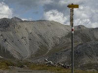 CH, Graubuenden, Zernez, SNP, Munt Chavagl 2, Saxifraga-Jan van der Straaten